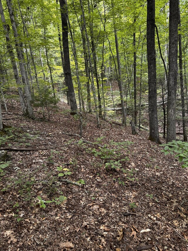 1158 Yellow Breeches Rd, Cosby, TN 37722