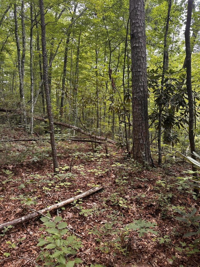 1158 Yellow Breeches Rd, Cosby, TN 37722