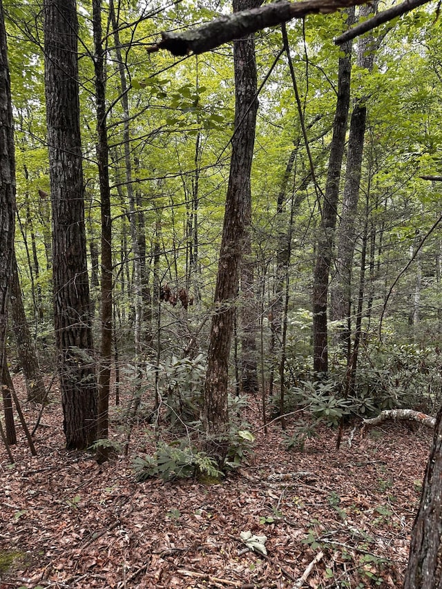 1158 Yellow Breeches Rd, Cosby, TN 37722