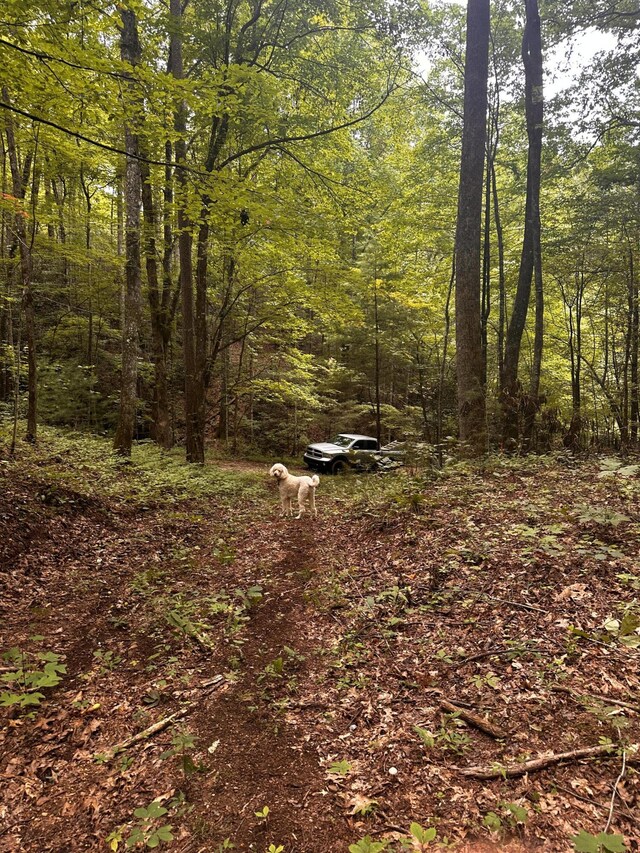 1158 Yellow Breeches Rd, Cosby, TN 37722