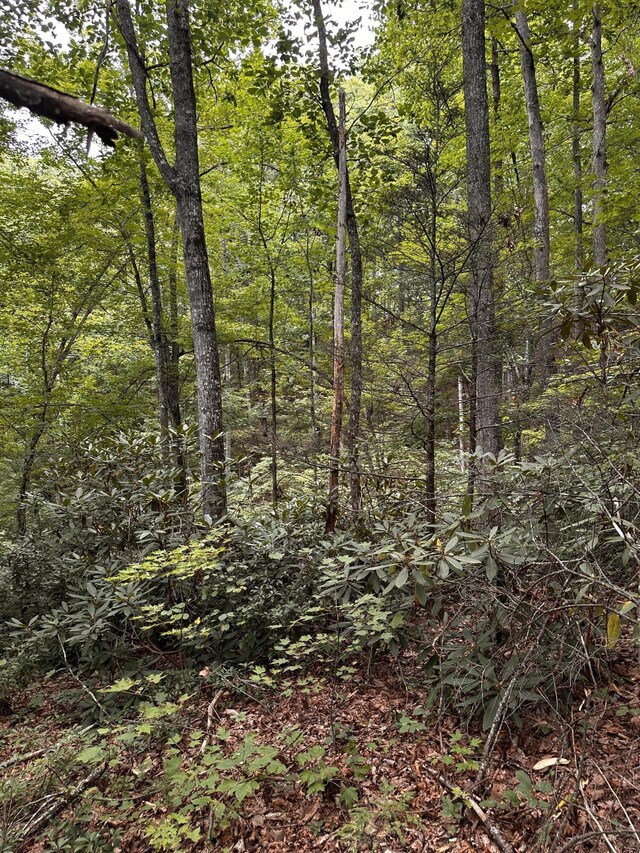 1158 Yellow Breeches Rd, Cosby, TN 37722