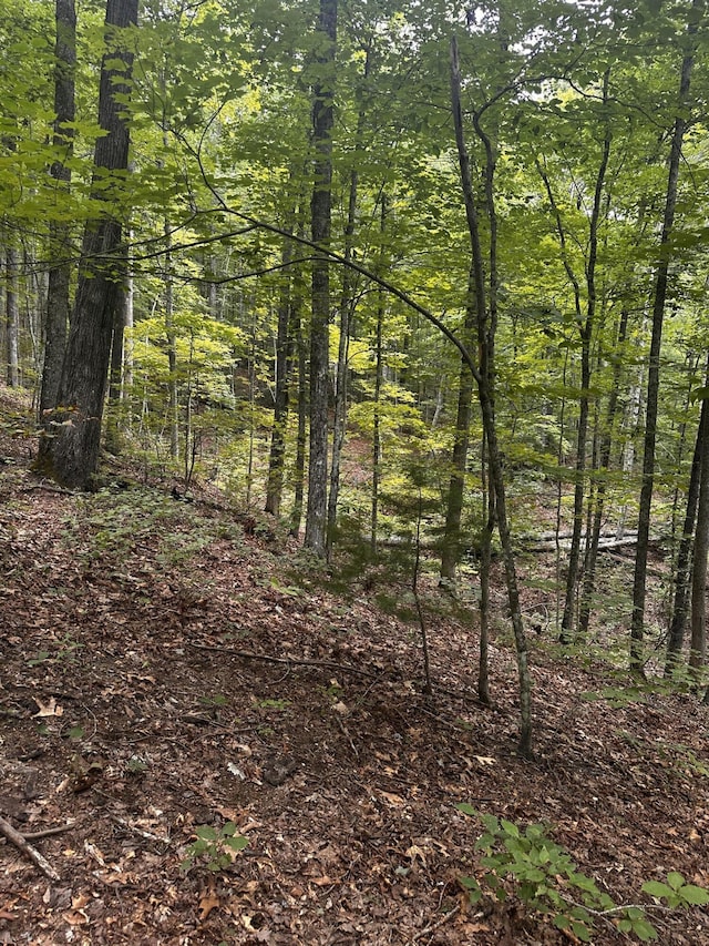 1158 Yellow Breeches Rd, Cosby, TN 37722