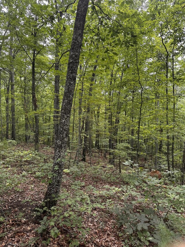1158 Yellow Breeches Rd, Cosby, TN 37722