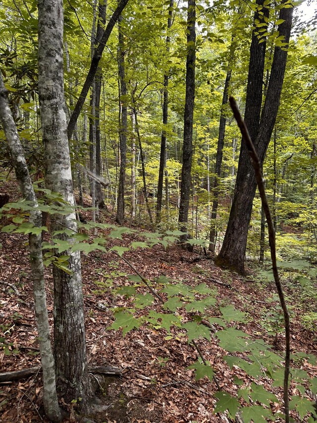 1158 Yellow Breeches Rd, Cosby, TN 37722