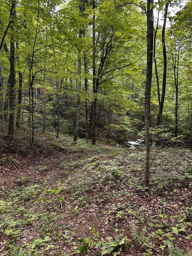 1158 Yellow Breeches Rd, Cosby, TN 37722