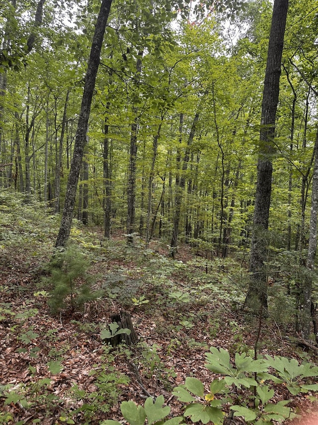 1158 Yellow Breeches Rd, Cosby, TN 37722