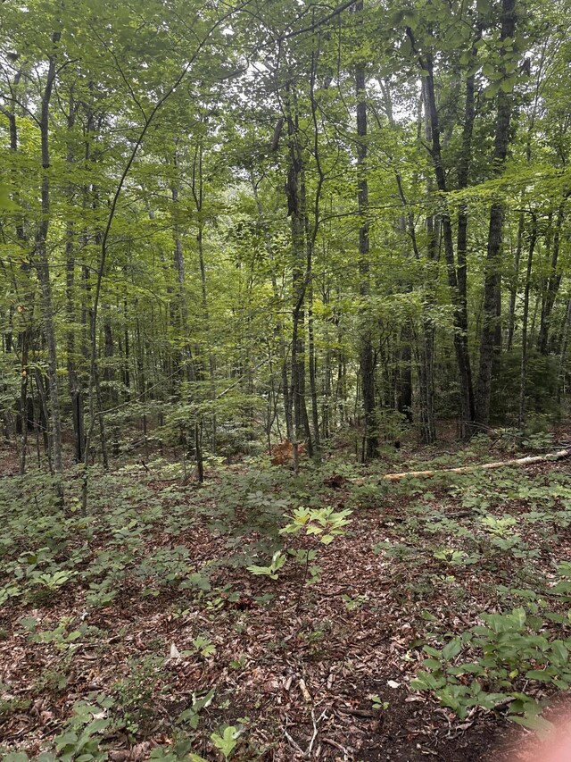1158 Yellow Breeches Rd, Cosby, TN 37722