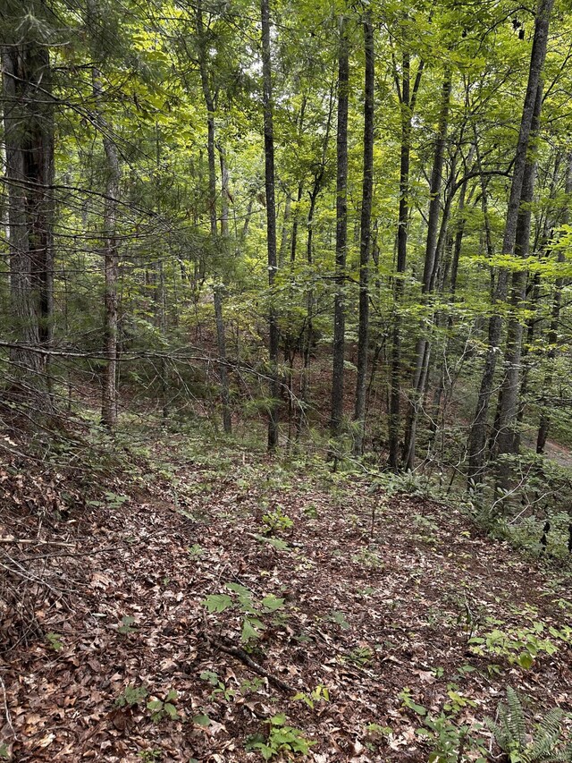 1158 Yellow Breeches Rd, Cosby, TN 37722