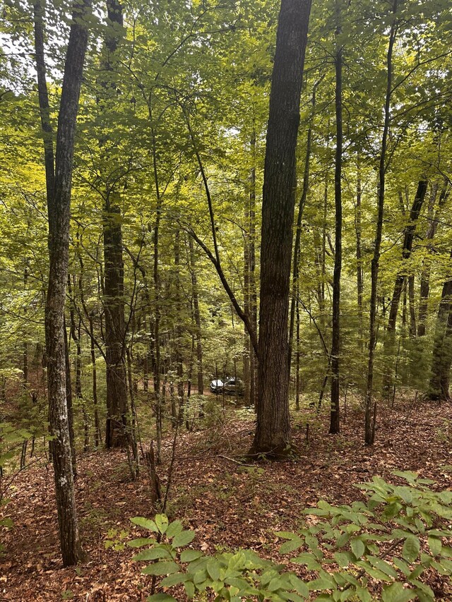 1158 Yellow Breeches Rd, Cosby, TN 37722