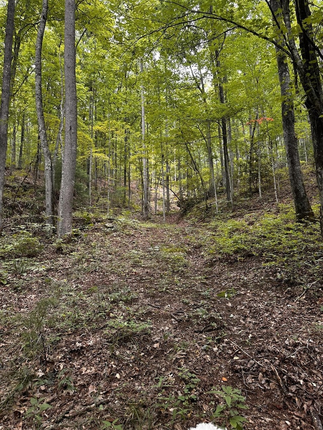 1158 Yellow Breeches Rd, Cosby, TN 37722