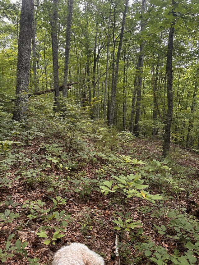 1158 Yellow Breeches Rd, Cosby, TN 37722