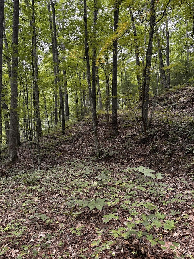 1158 Yellow Breeches Rd, Cosby, TN 37722