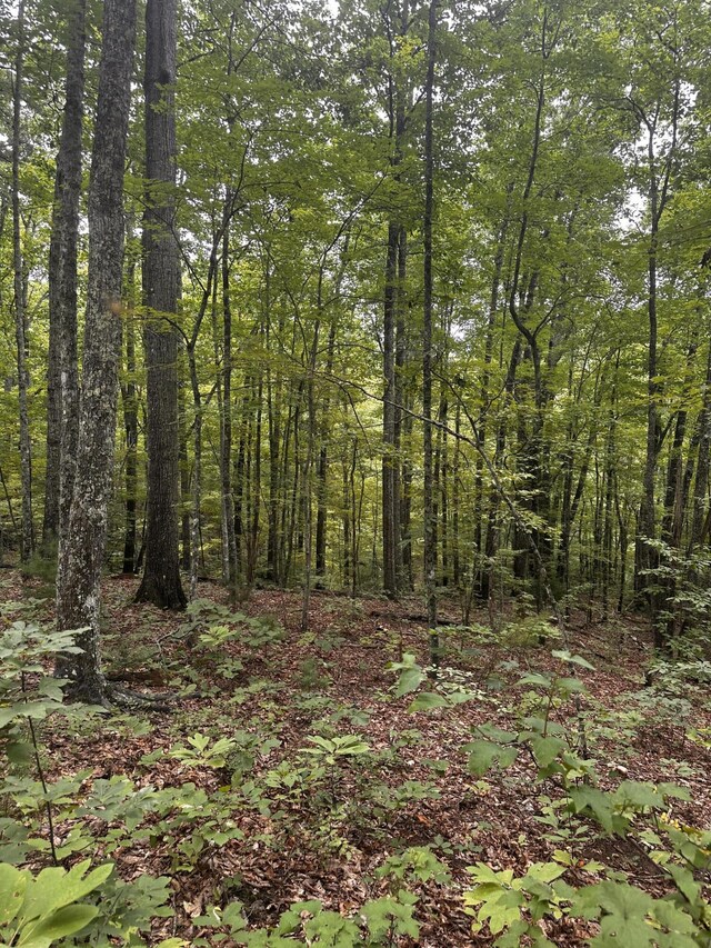 1158 Yellow Breeches Rd, Cosby, TN 37722