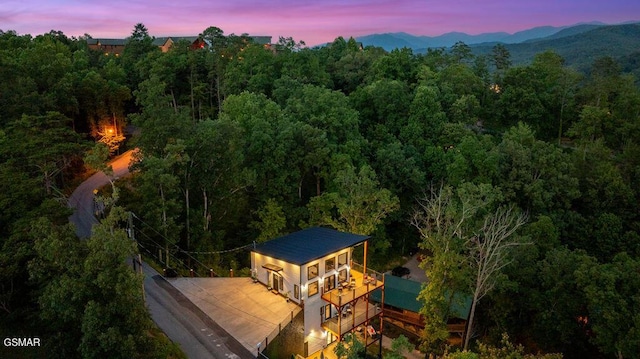1040 Old Cartertown Rd, Gatlinburg, TN 37738 - photo 3
