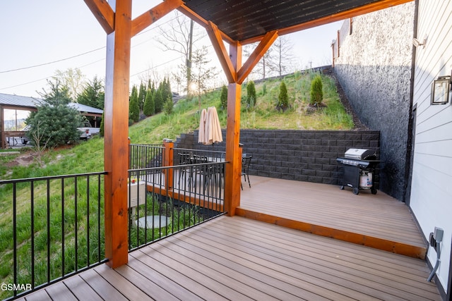 1040 Old Cartertown Rd, Gatlinburg, TN 37738 - photo 55
