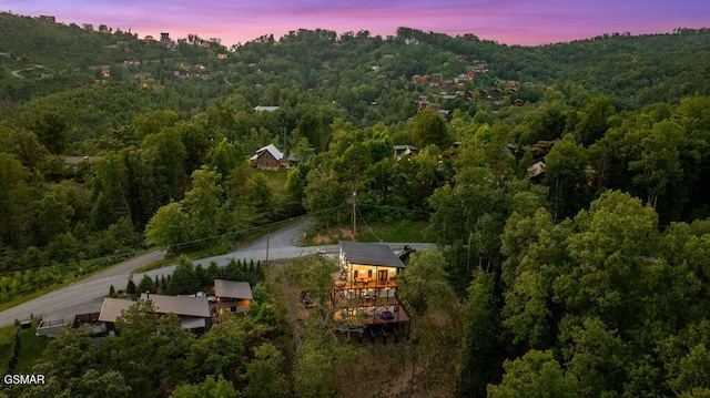 1040 Old Cartertown Rd, Gatlinburg, TN 37738 - photo 2