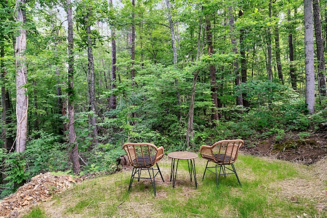 view of yard featuring a wooded view