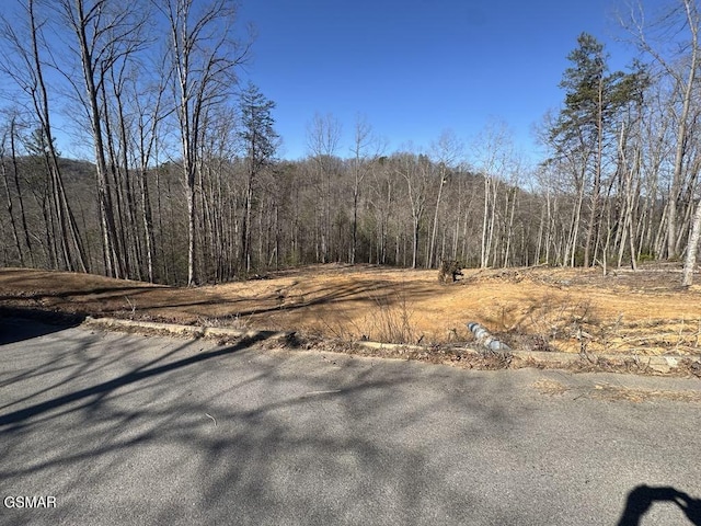 Listing photo 3 for LOT21 Legend Dr, Sevierville TN 37876