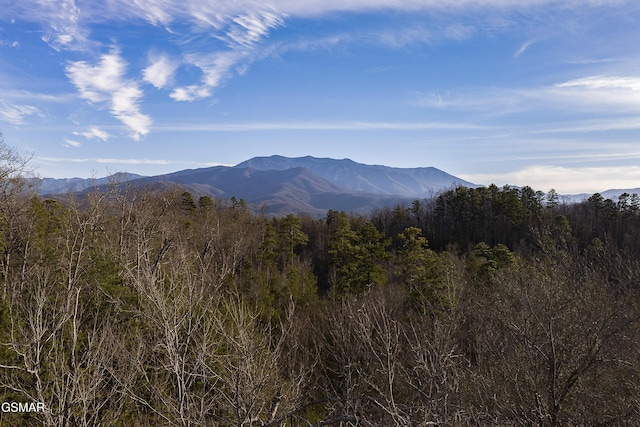 mountain view featuring a view of trees