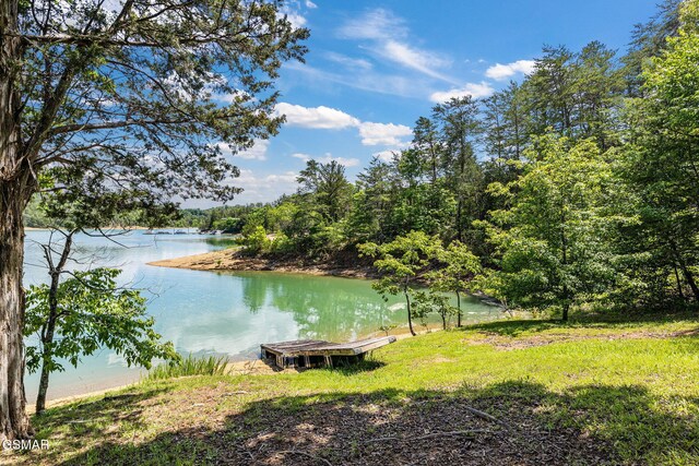 336 Perry Branch Way, Sevierville, TN 37876 - water view