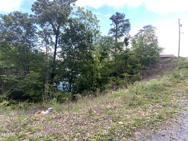 336 Perry Branch Way, Sevierville, TN 37876 - view of undeveloped land