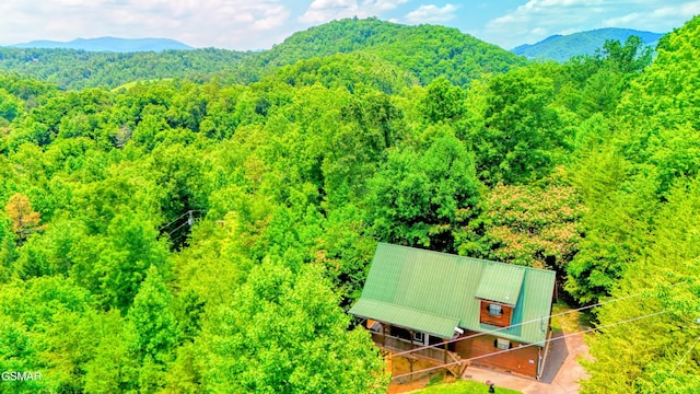 2010 Bird Ridge Rd, Sevierville, TN 37876 - photo 40