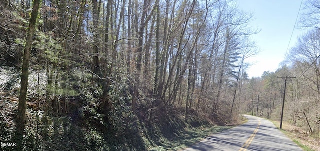 0 Alpine Dr, Sevierville, TN 37876 - photo 3