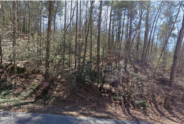 0 Alpine Dr, Sevierville, TN 37876 - photo 1