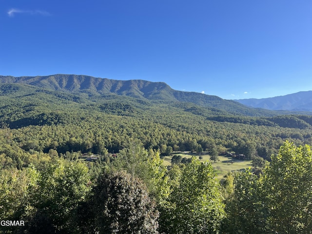 property view of mountains featuring a wooded view