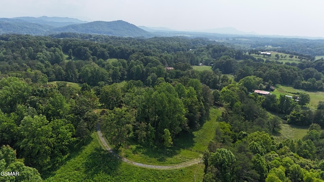 1121 Cummings Chapel Rd, Sevierville, TN 37862 - photo 85