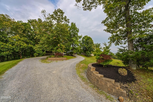 1121 Cummings Chapel Rd, Sevierville, TN 37862 - photo 9