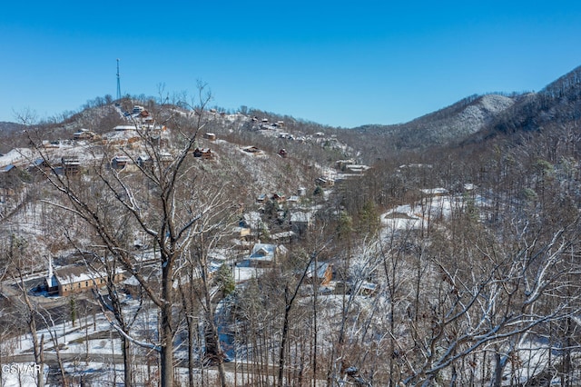 view of mountain feature