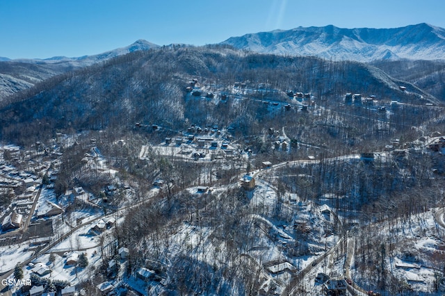 property view of mountains