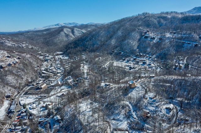 view of mountain feature