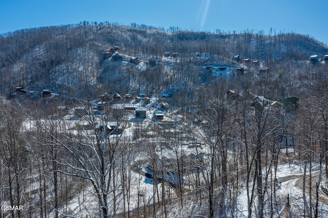 snowy aerial view with a mountain view