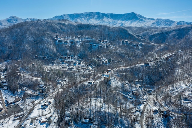 property view of mountains