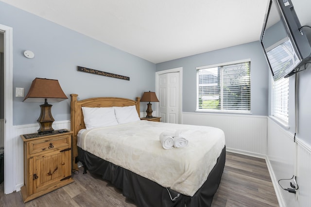 bedroom featuring multiple windows, a closet, and dark wood-type flooring