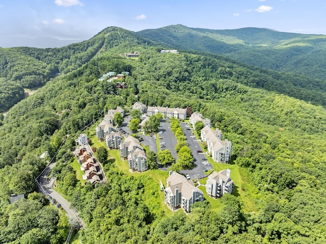 bird's eye view with a mountain view