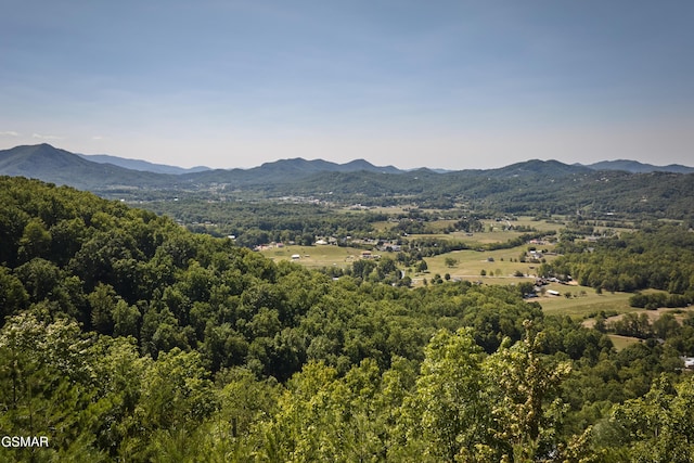 3935 Ravens Den Way, Sevierville, TN 37862 - photo 5