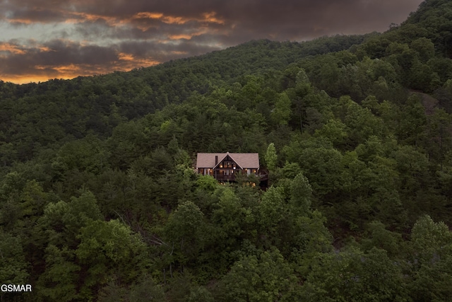 3935 Ravens Den Way, Sevierville, TN 37862 - photo 39