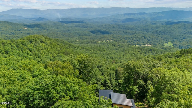 1874 Mountain Ash Way, Sevierville, TN 37862 - photo 72