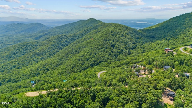 1874 Mountain Ash Way, Sevierville, TN 37862 - photo 66