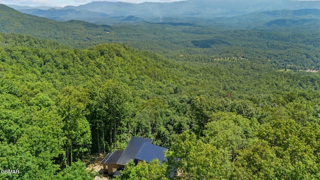 1874 Mountain Ash Way, Sevierville, TN 37862 - photo 73