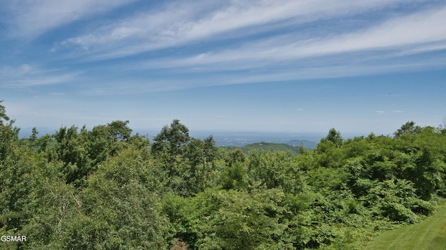 view of local wilderness