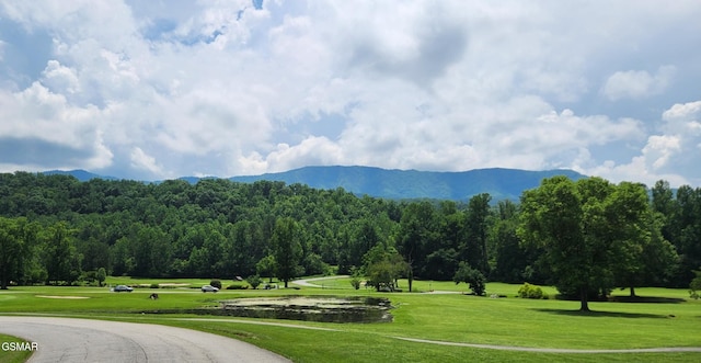 601 Deer Path Ln, Gatlinburg, TN 37738 - photo 51