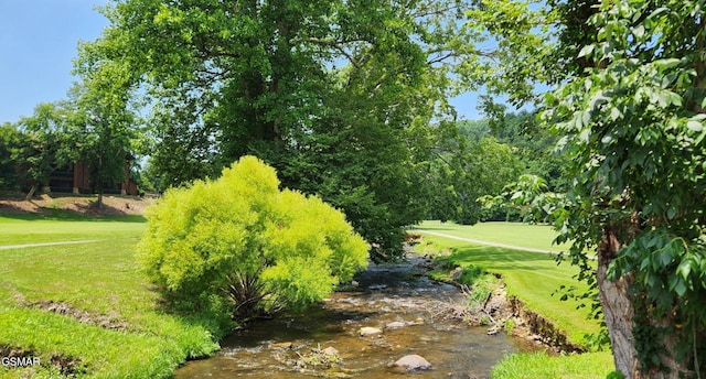 601 Deer Path Ln, Gatlinburg, TN 37738 - photo 52