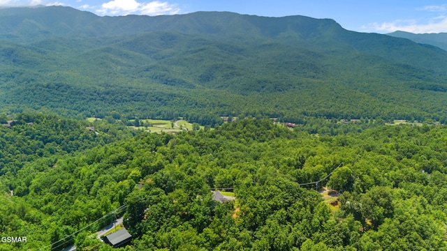 601 Deer Path Ln, Gatlinburg, TN 37738 - photo 49