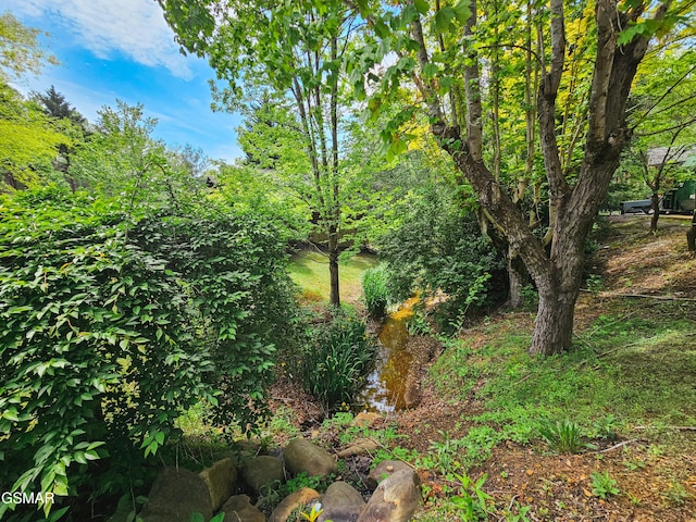 515 Houser Rd, Gatlinburg, TN 37738 - photo 4