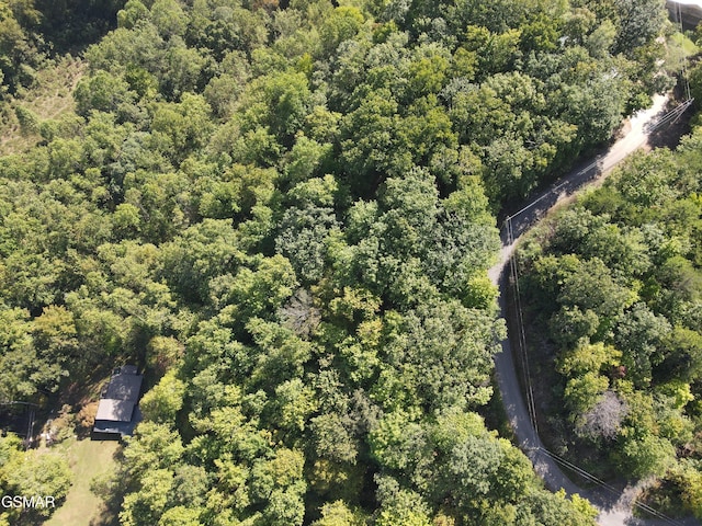 LOT64 Old Smoky High Top Rd, Cosby, TN 37722 - photo 4
