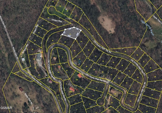 LOT64 Old Smoky High Top Rd, Cosby, TN 37722 - photo 1